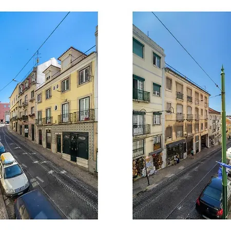 Whome | Csa18 Premium Design *